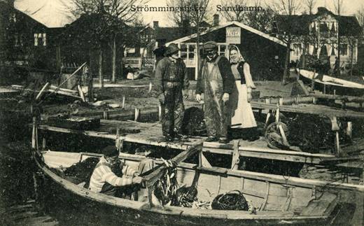 Strommingsfiske 1912